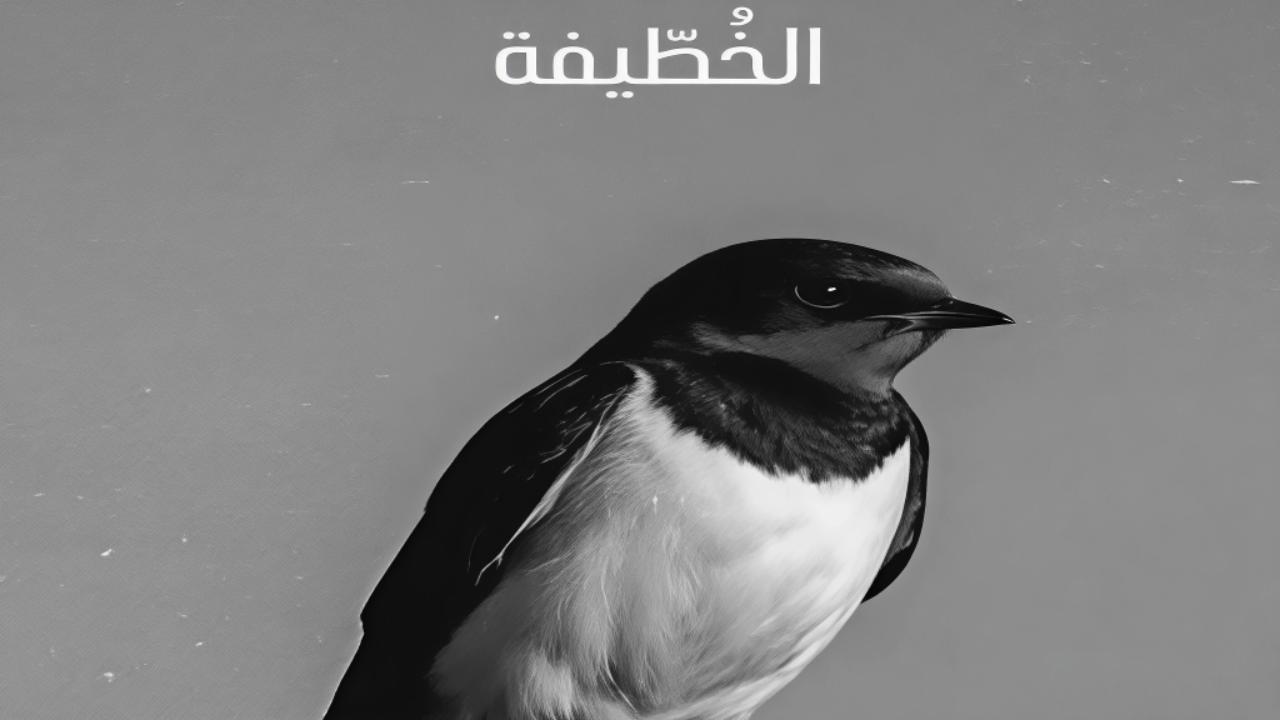 مسلسل الخطيفة